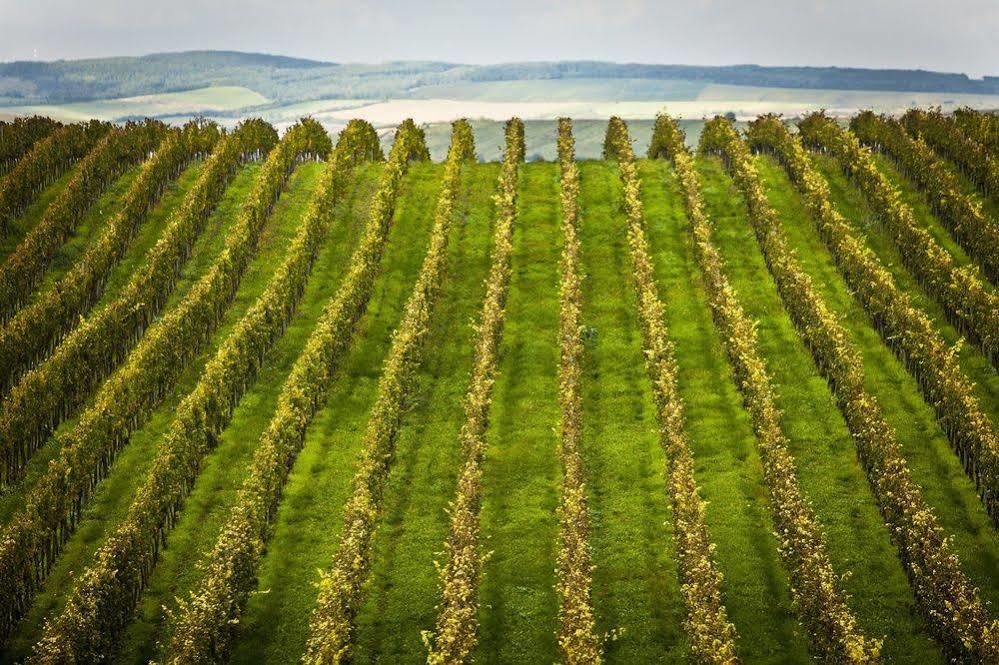 Wine Wellness Hotel Amande Hustopeče Exterior foto
